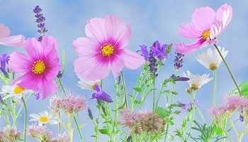 Het nieuwe zonnejaar is gestart - hoe creëer jij je nieuwe verhaal?